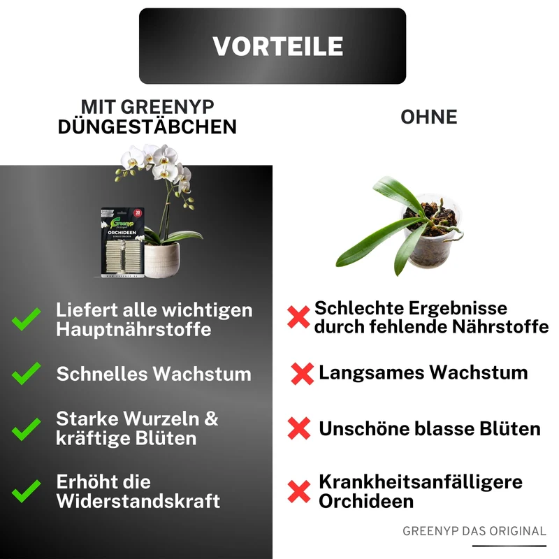Orchideen Düngestäbchen