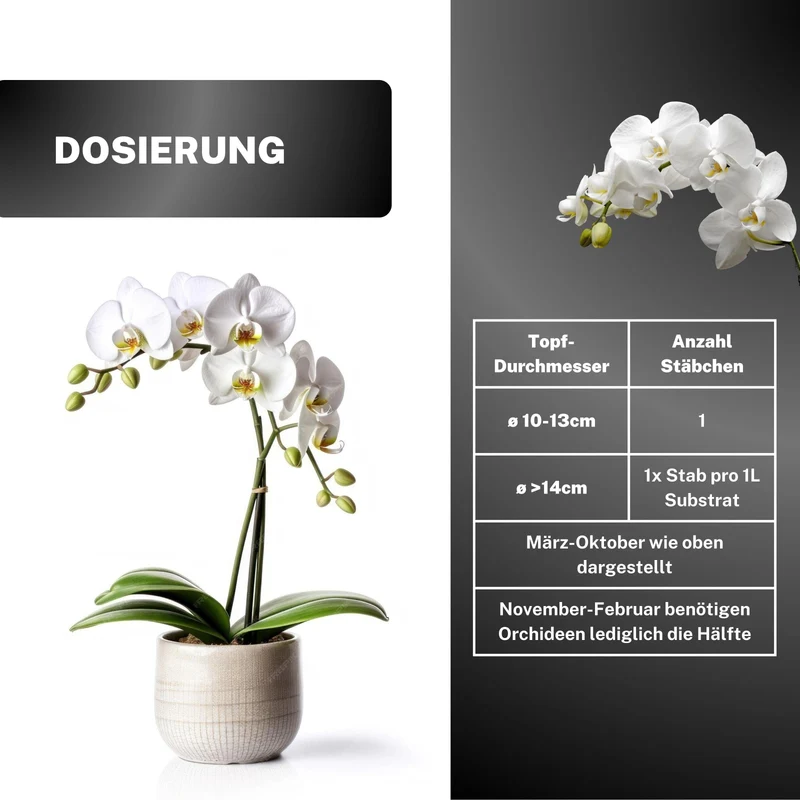 Orchideen Düngestäbchen