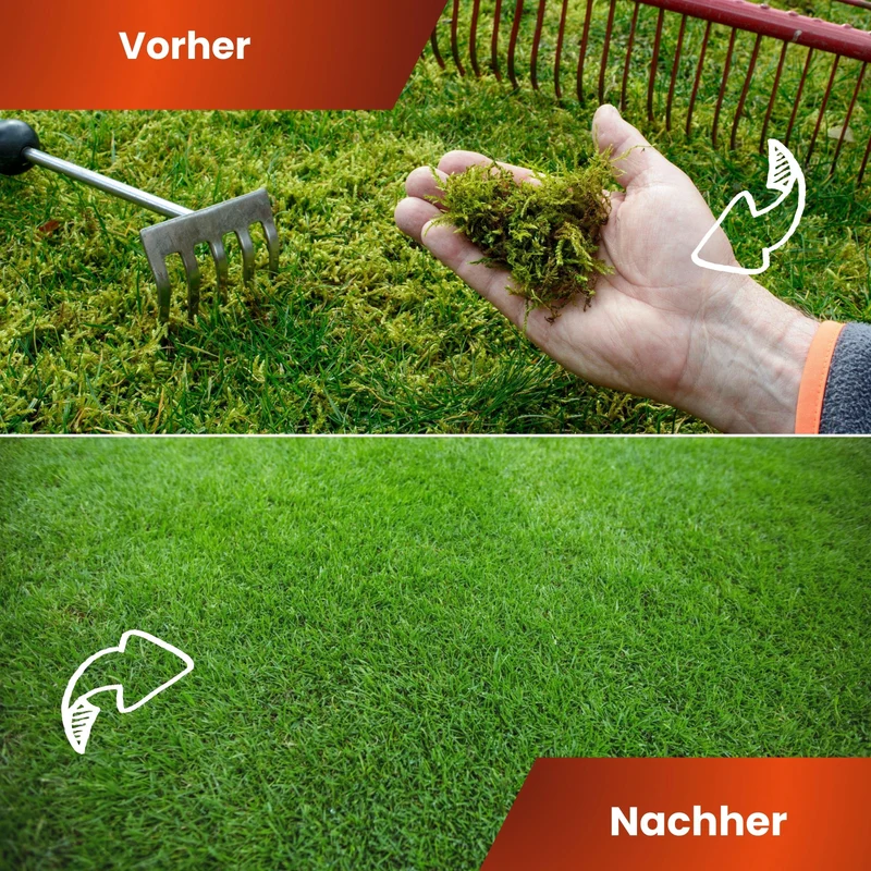 Anti Moos Rasendünger