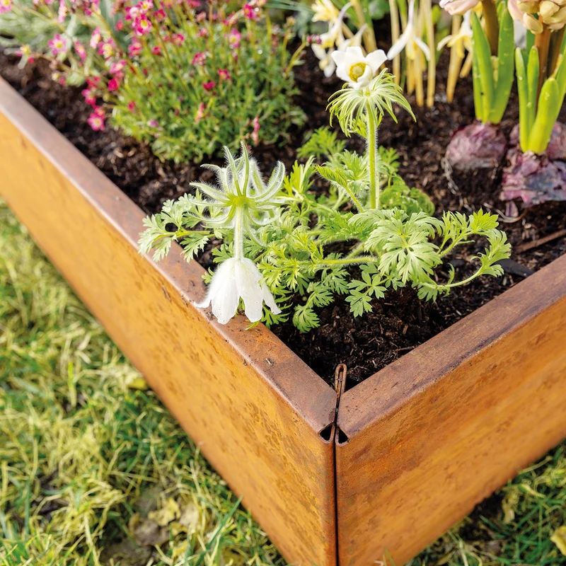 bellissa Vertikalbeet Rahmen S; L 55 x B 55 x H 20 cm, 1.5 mm Corten