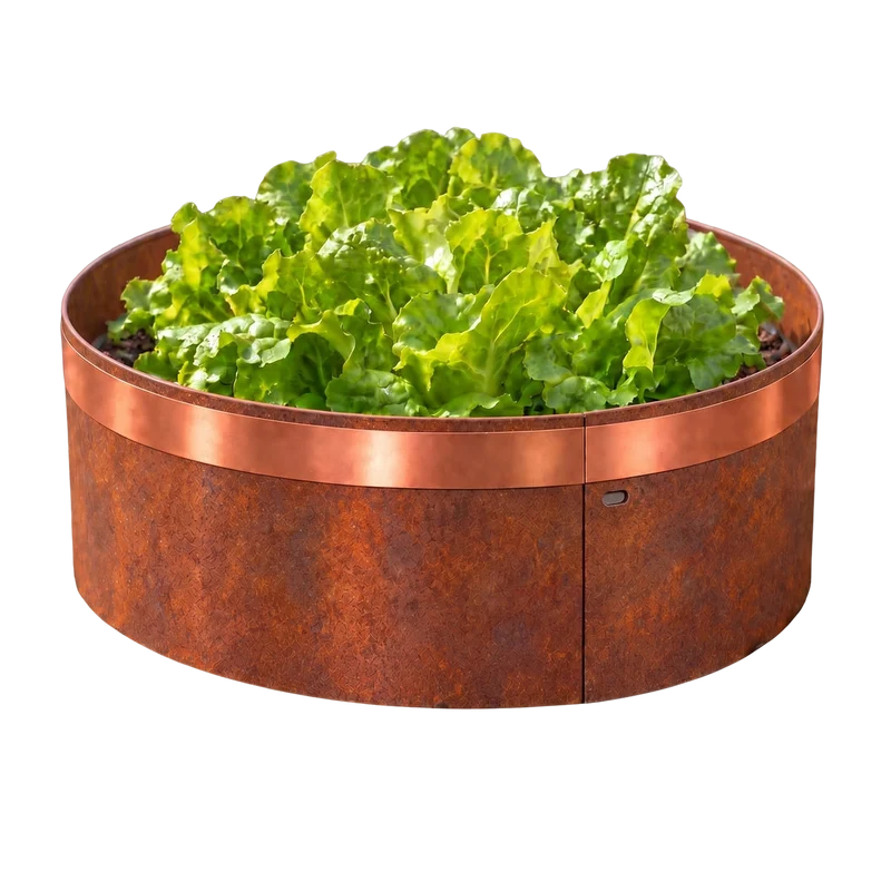 bellissa Schneckenkragen Ø40 cm mit Kupferband verzinkt/Corten: Corten – 3 Stück