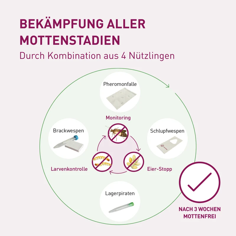 Mottenfrei Sofort-System - 360°-Bekämpfung von Lebensmittelmotten