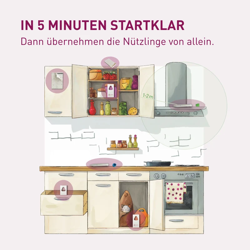 Mottenfrei Sofort-System - 360°-Bekämpfung von Lebensmittelmotten