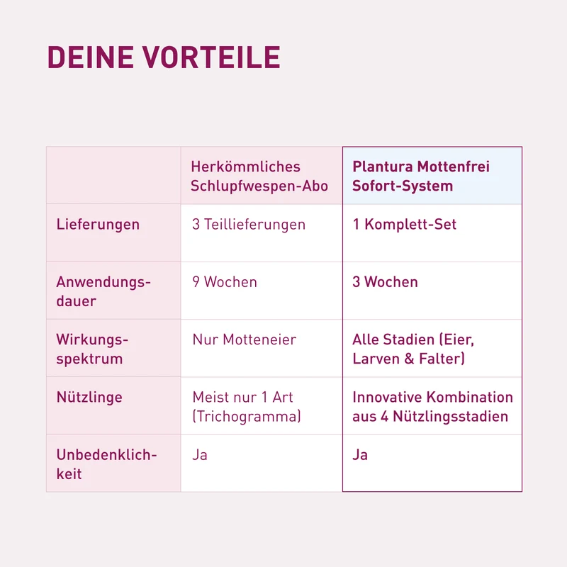 Mottenfrei Sofort-System - 360°-Bekämpfung von Lebensmittelmotten