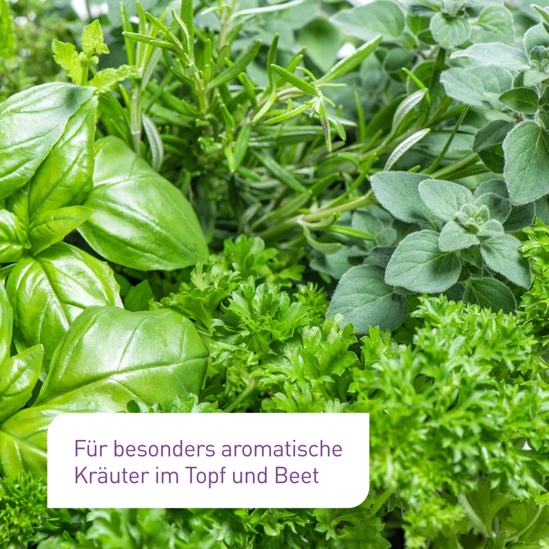 Bio-Kräuter- & Aussaaterde 2 x 5 L