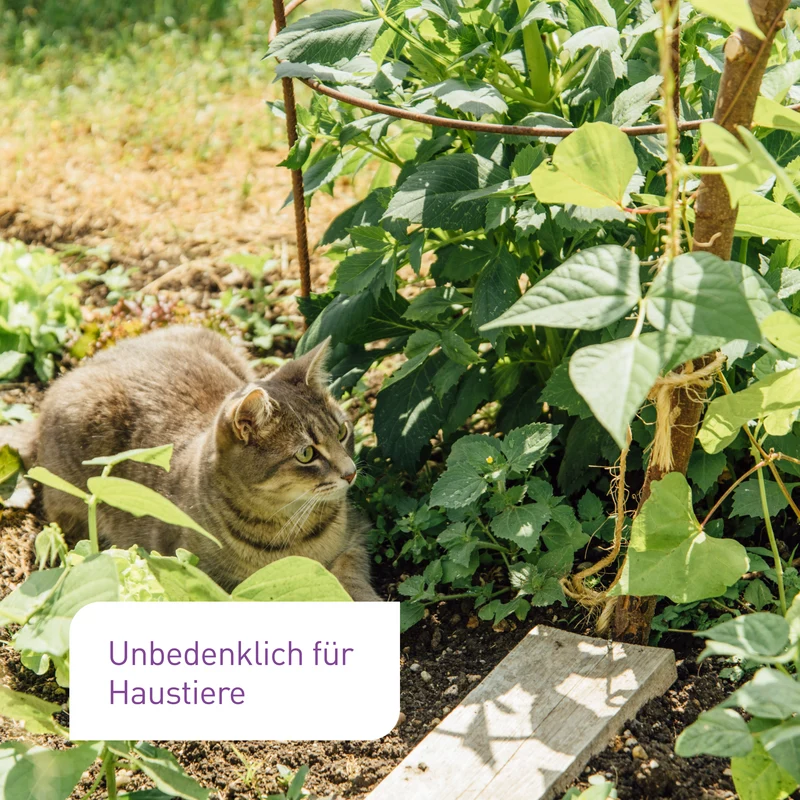 Bio-Kräuter- & Aussaaterde 2 x 5 L