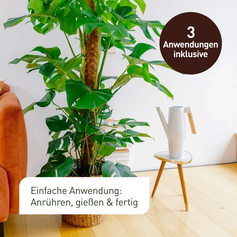 SF-Nematoden gegen Thripse