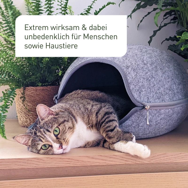 SF-Nematoden gegen Thripse