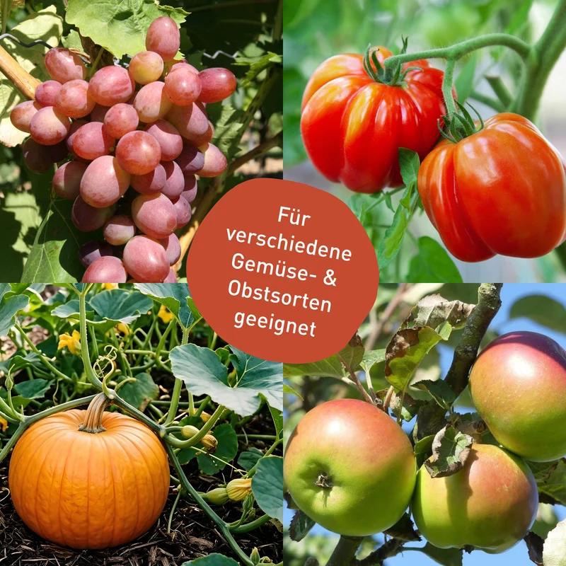 Mehltaufrei für Gurken, Tomaten & Wein - Spritzmittel gegen Echten Mehltau 500 ml