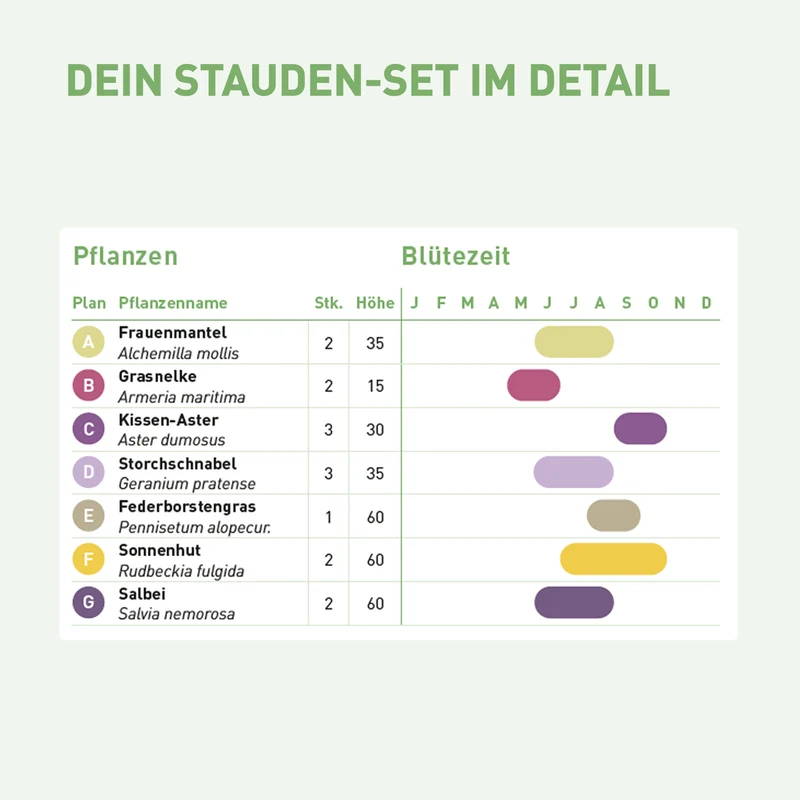 Staudenbeet Pflegeleicht Sonne (15er Set / 3 m²)