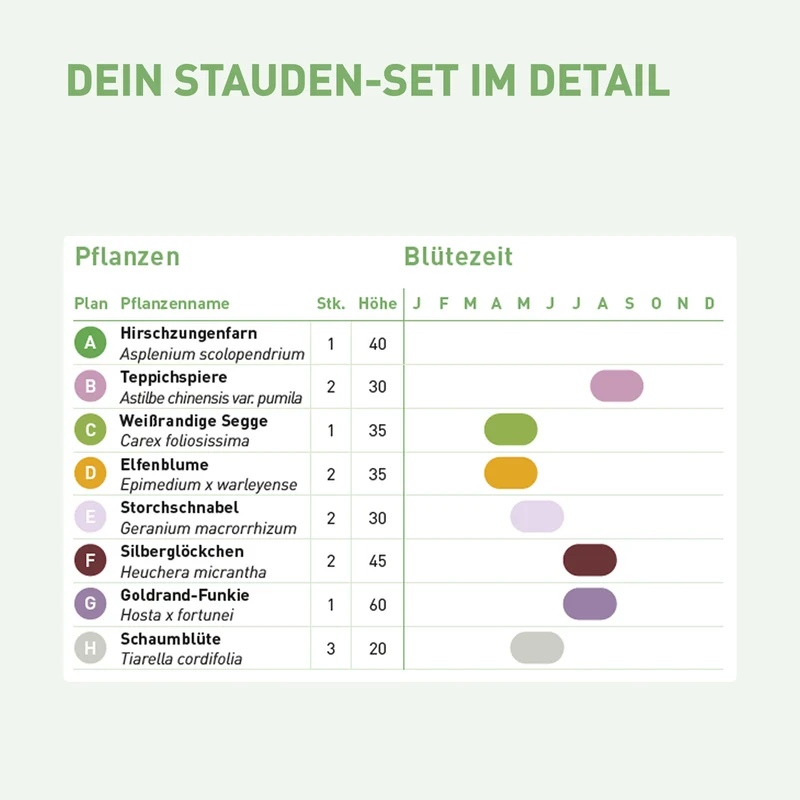 Staudenbeet Pflegeleicht Schatten (14er Set / 3 m²)