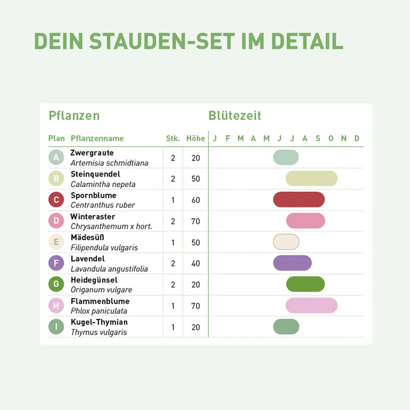 Staudenbeet Duftend (14er Set / 3 m²)