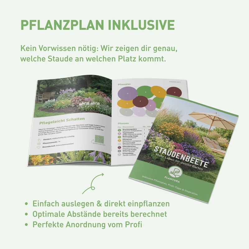 Staudenbeet Heimische Wildstauden Schatten (15er Set / 3 m²)