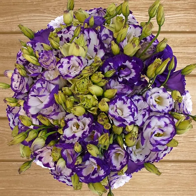 Purple White Lisianthus Seeds – Premium Garden Flower Variety
