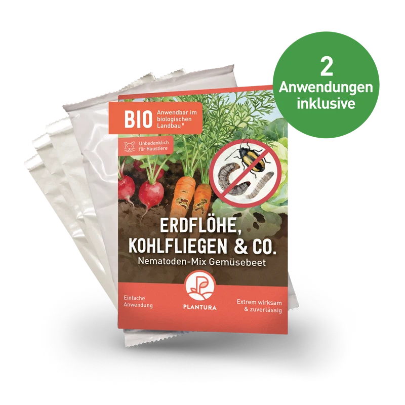 Nematoden-Mix Gemüsebeet - gegen Erdflöhe, Kohlfliegen & Co.