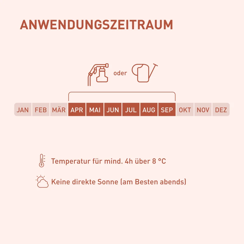 Nematoden-Mix Gemüsebeet - gegen Erdflöhe, Kohlfliegen & Co.