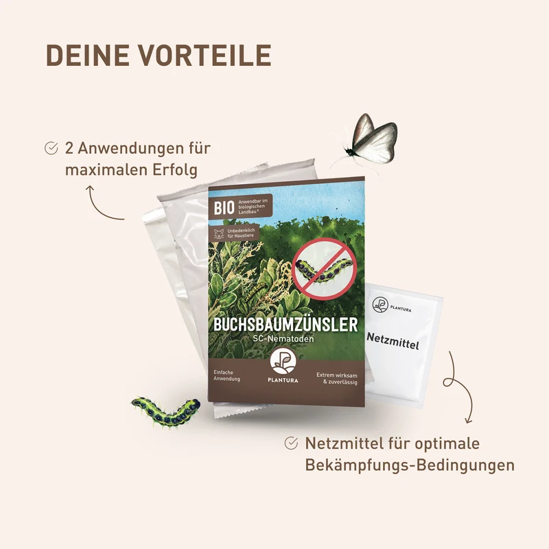 SC-Nematoden gegen Buchsbaumzünsler