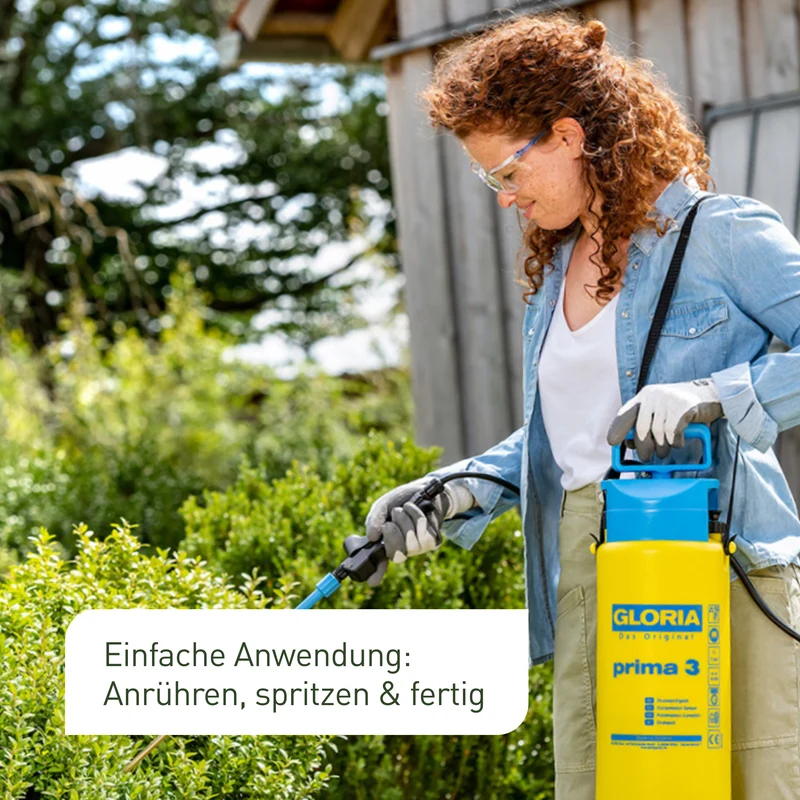 SC-Nematoden gegen Buchsbaumzünsler