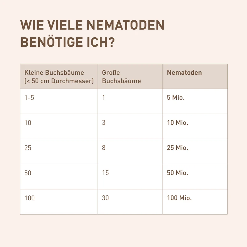 SC-Nematoden gegen Buchsbaumzünsler