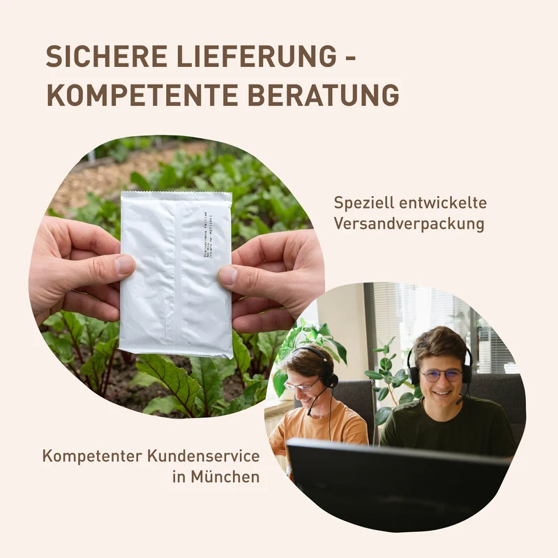 SC-Nematoden gegen Buchsbaumzünsler