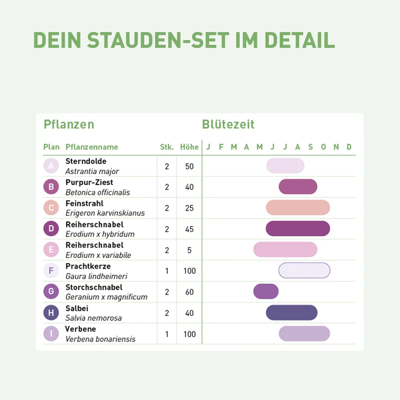Staudenbeet Dauerblüher (16er Set / 3 m²)