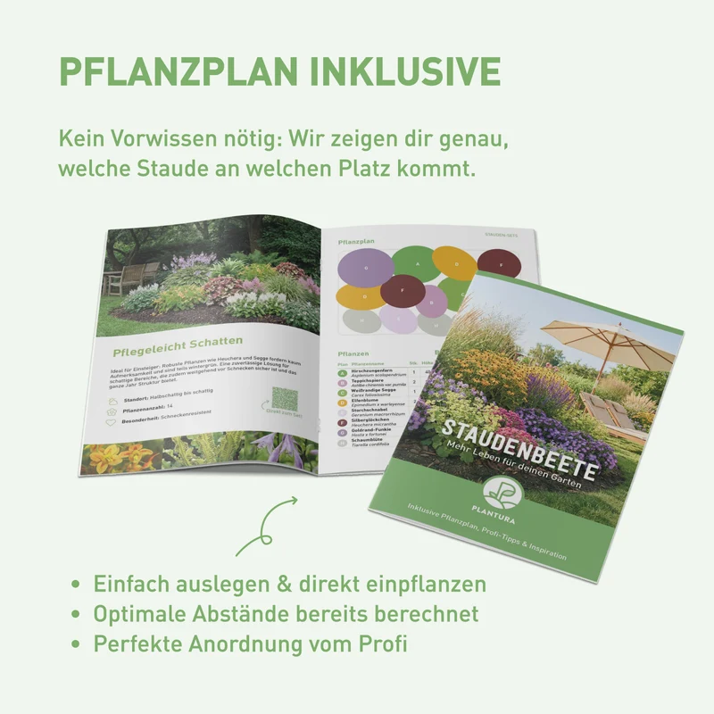 Staudenbeet Farbharmonie Weiß-Violett (14er Set / 3 m²)