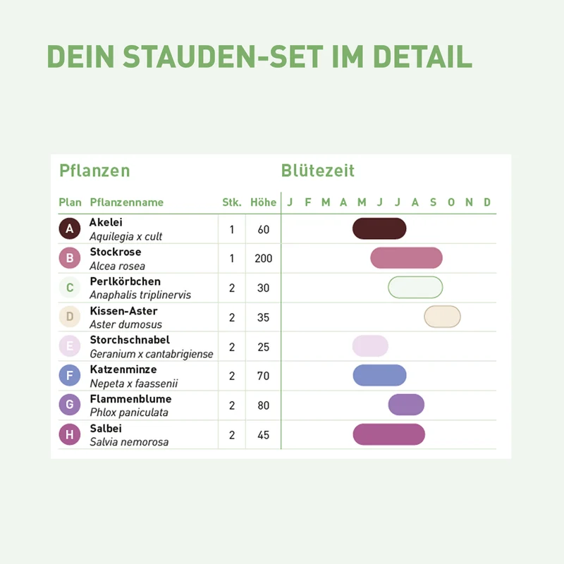 Staudenbeet Farbharmonie Weiß-Violett (14er Set / 3 m²)
