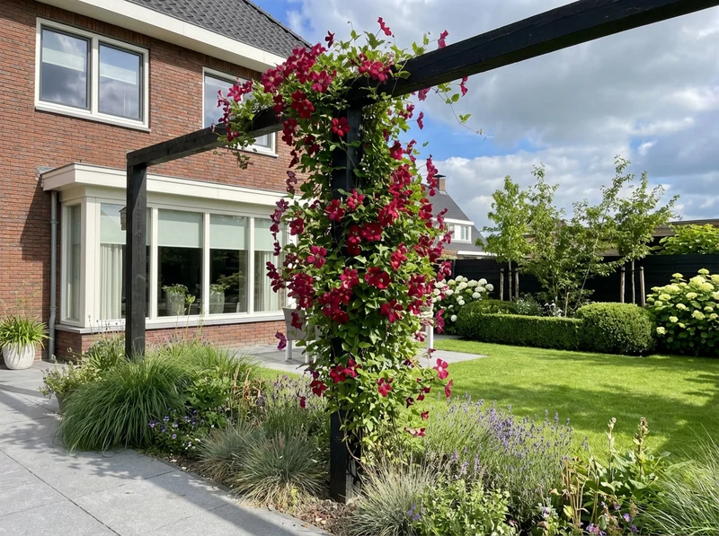 Kletterpflanze Clematis vit. Madame Julia Correvon (Bosrank)