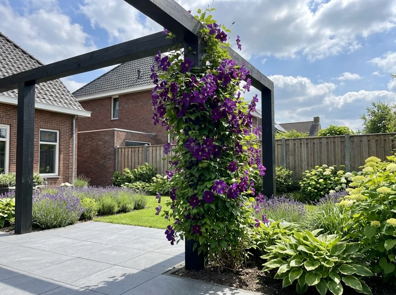 Kletterpflanze Clematis vit. Polnischer Geist (Bosrank)