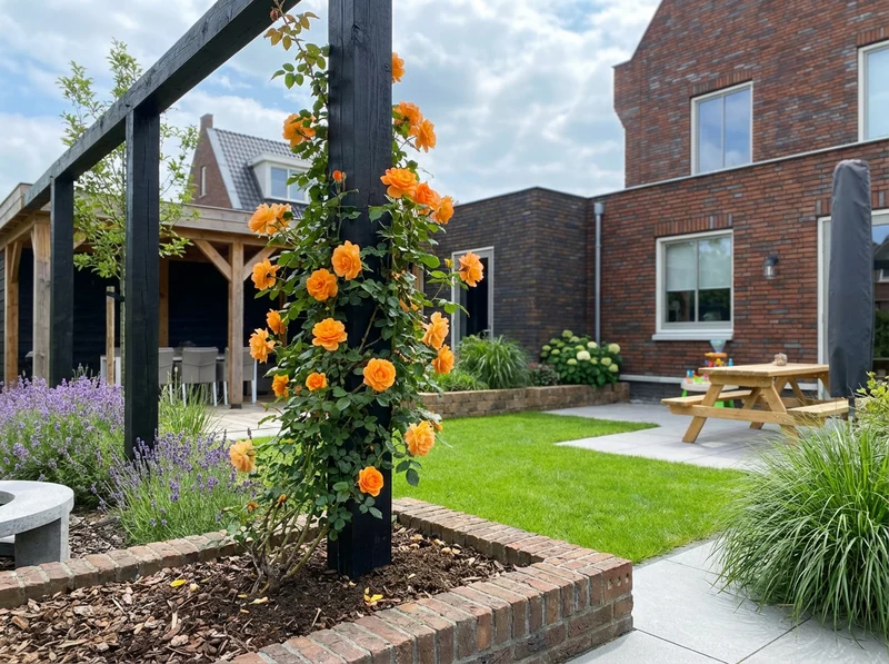 Kletterrose Rosa Orange Climber (Kletterrose)