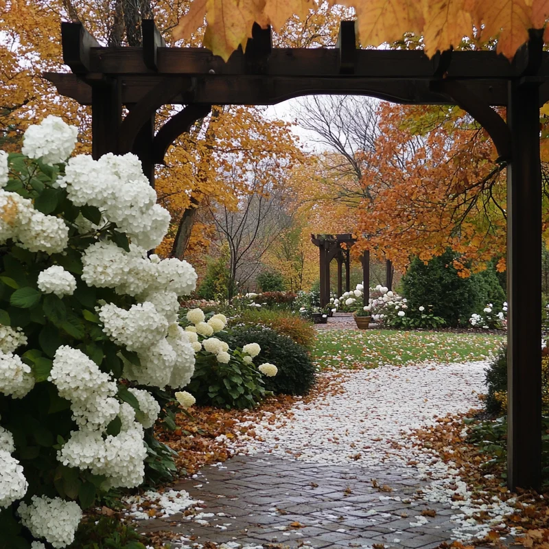 Snow Queen Hydrangea Seeds – Elegant White Cone Blooms & Stunning Fall Foliage