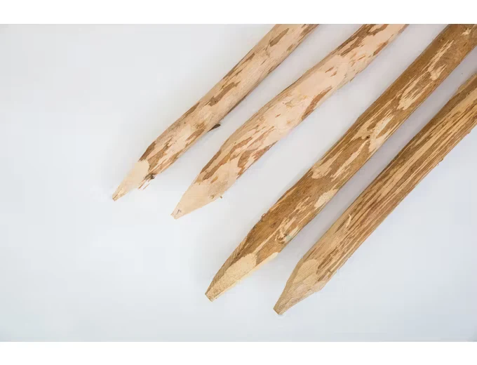 Geschilde houten hazelaar paal met punt