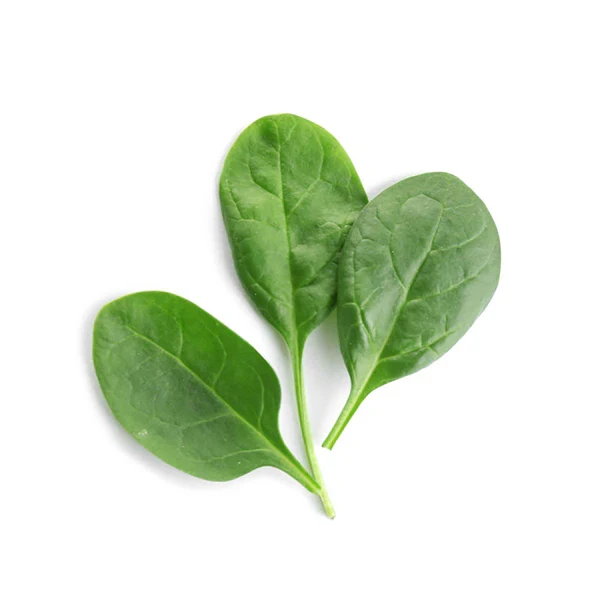 Baby's Leaf Spinach Seeds - Fresh & Nutritious Home Garden Variety