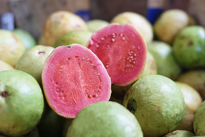 Pink Seedless Guava Seeds – Sweet & Juicy Tropical Fruit for Planting