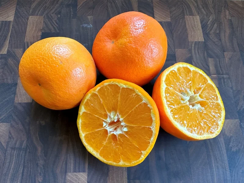Jaffa Orange Seeds for Planting – Grow Sweet & Juicy Oranges