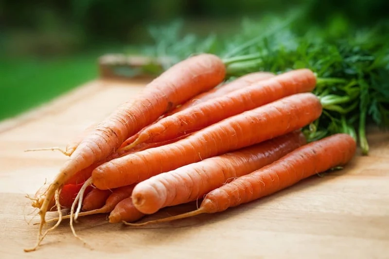 Scarlet Nantes Carrot Seeds – Heirloom, Sweet & Crisp - Grow Your Own Carrots