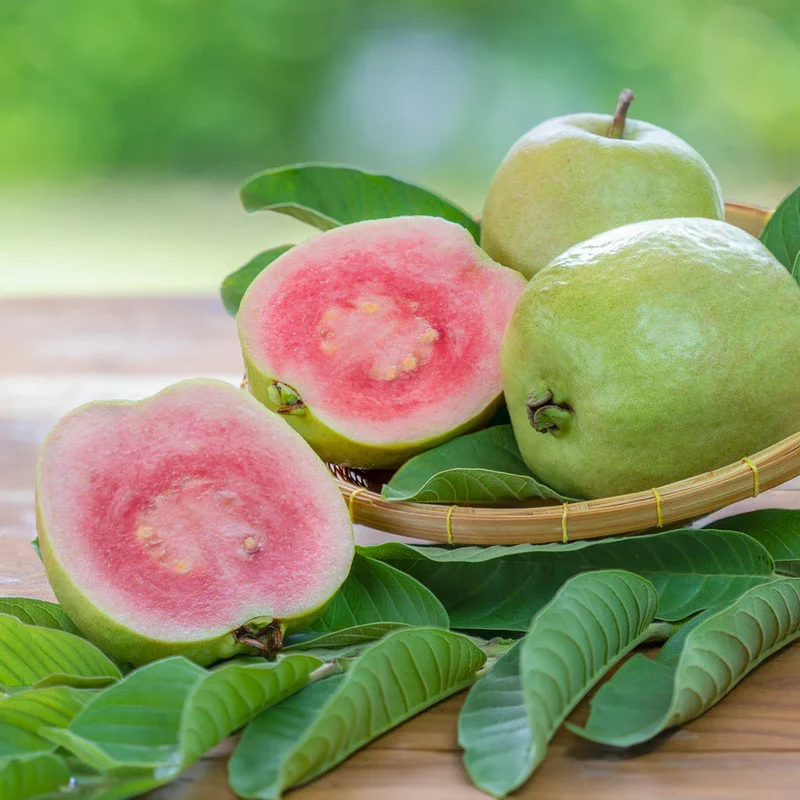 Ruby-X Guava Seeds – Sweet & Juicy Red-Fleshed Tropical Fruit for Planting