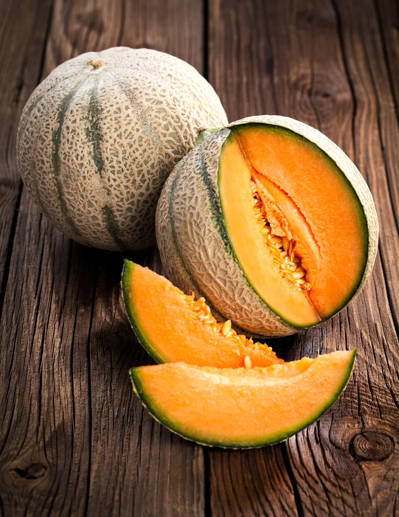 Bio-Zuckermelone 'Petit gris de Rennes'