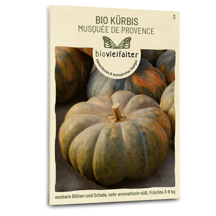 Bio-Kürbis 'Musquée de Provence'