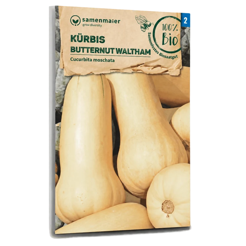 Bio-Kürbis 'Butternut Waltham'