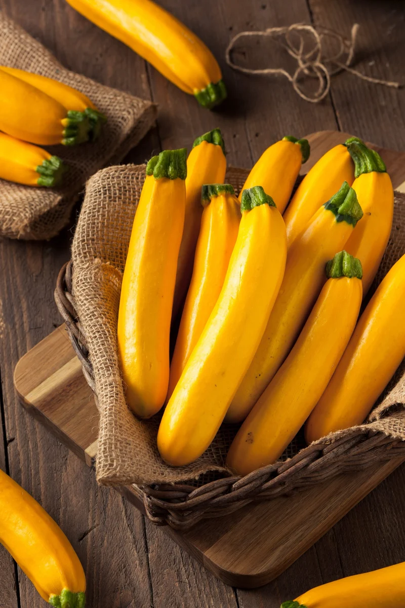 Bio-Zucchini 'Gold Rush'