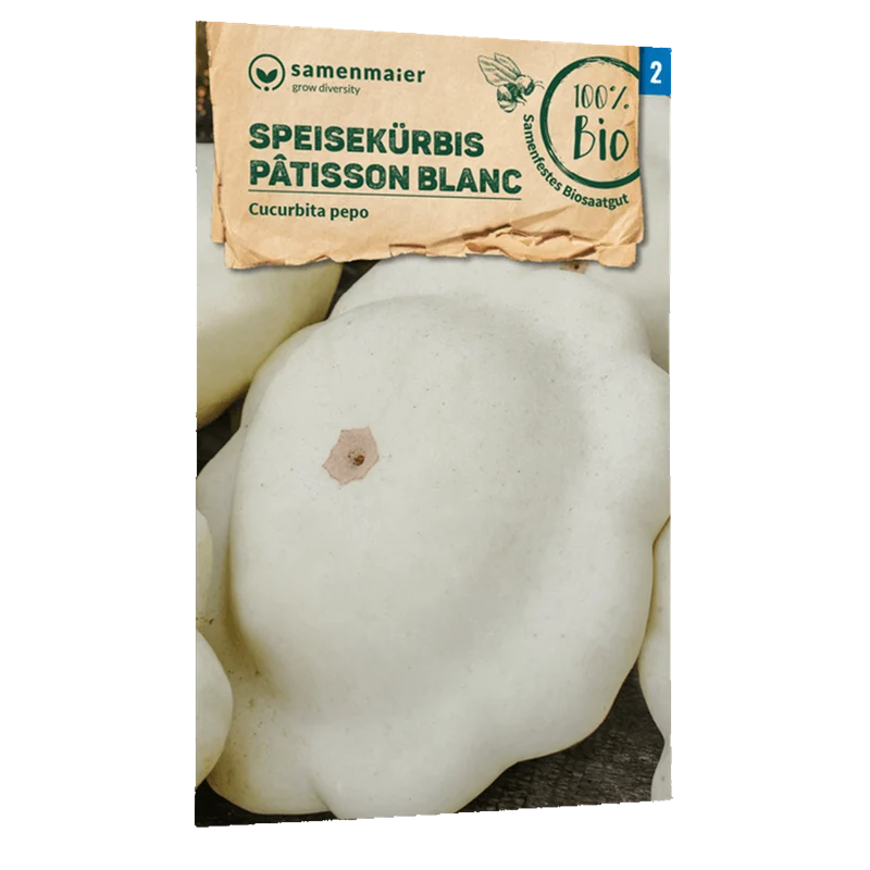 Bio-Speisekürbis 'Pâtisson blanc'