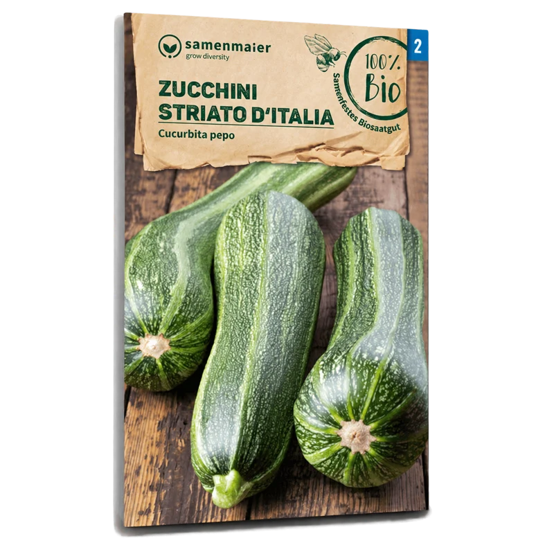 Bio-Zucchini 'Striato d'Italia'