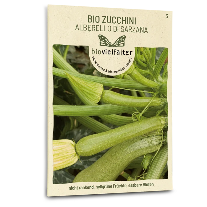 Bio-Zucchini 'Alberello di Sarzana'
