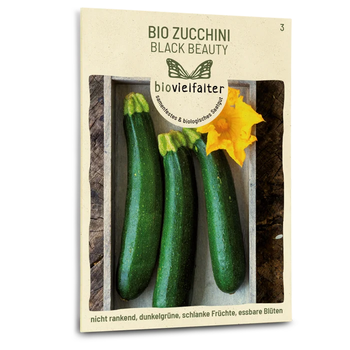 Bio-Zucchini 'Black Beauty'