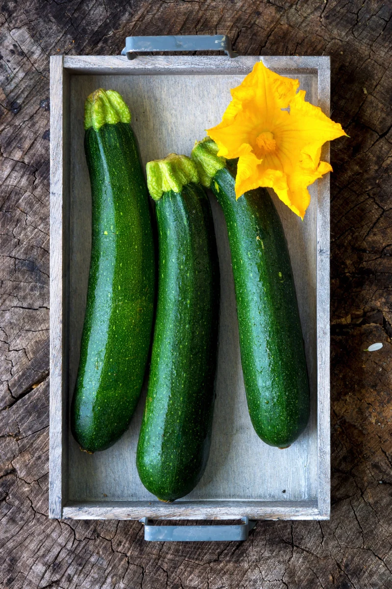 Bio-Zucchini 'Black Beauty'