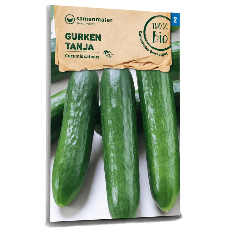 Bio-Salatgurke 'Tanja'
