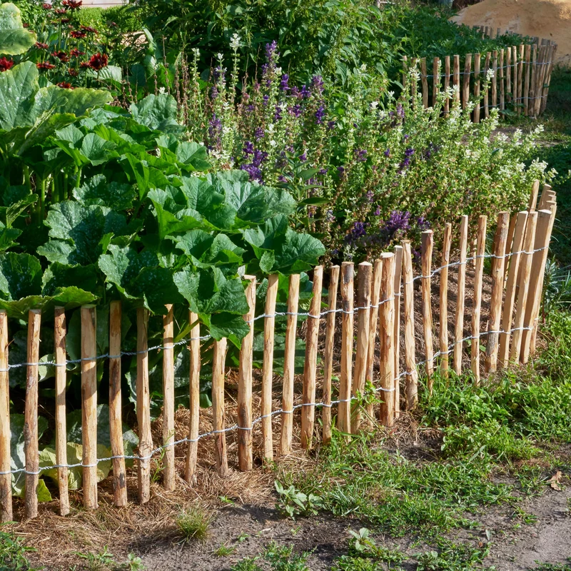Englischer Schafzaun, 50 cm hoch, 5 Meter lang