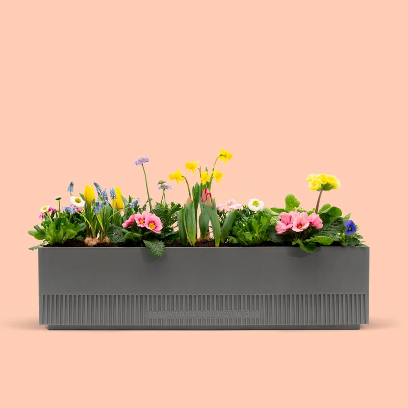 Balkonbox Pastel Dreams