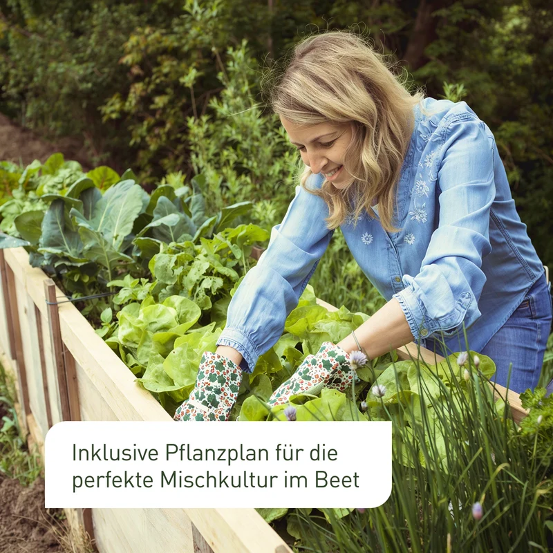 Hochbeet Bio-Samen-Set mit 14 Sorten
